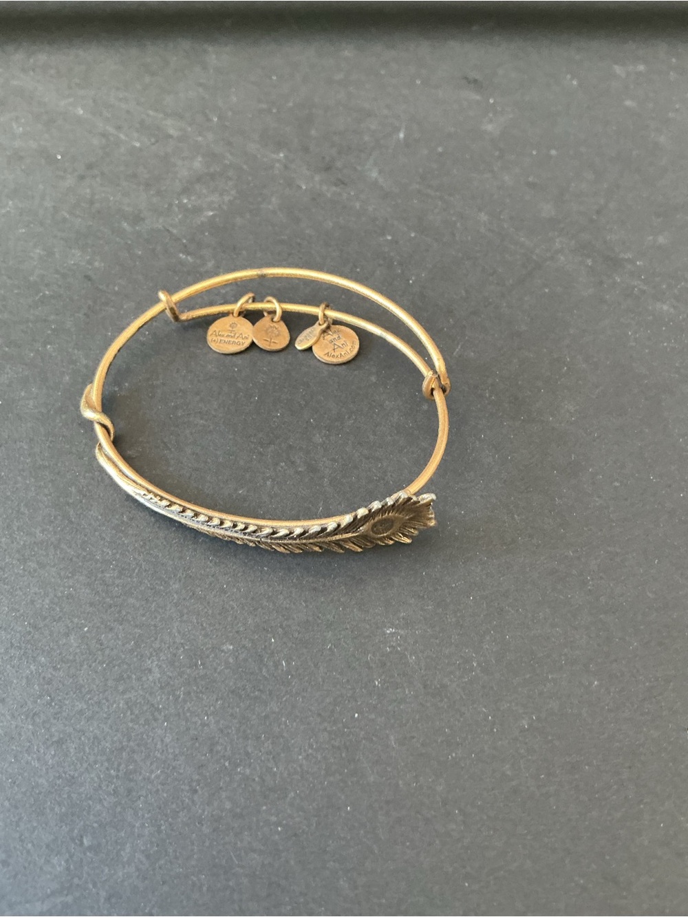 Alex and Ani Gold Feather Expandable Bracelet with Charm Discs